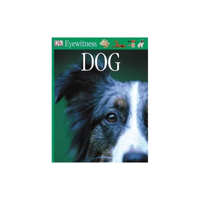 Dog (Eyewitness) by DK Paperback Book