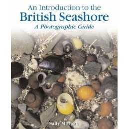 An Introduction to The British Seasho..., Morgan, Sally