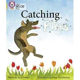 Catching Flies: Band 09/Gold (Collins..., Crebbin, June