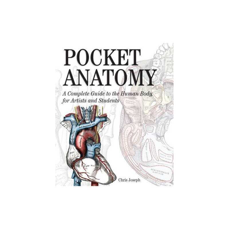 Pocket Anatomy: A Complete Guide to the Human Body, for Arti... by Joseph, Chris