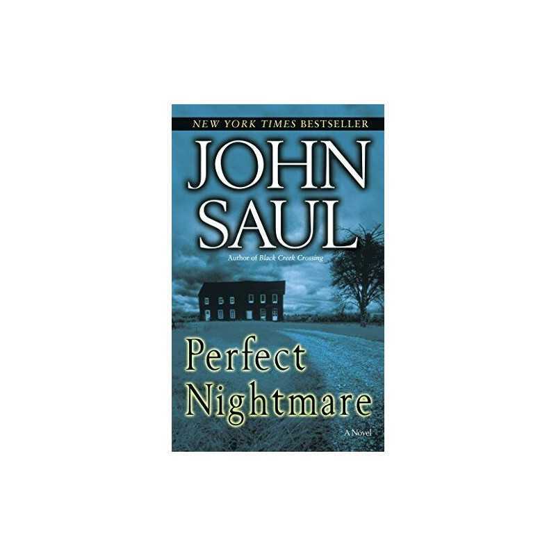 Perfect Nightmare by Saul, John Book