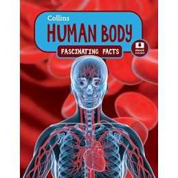 Human Body (Collins Fascinating Facts) by Collins Book