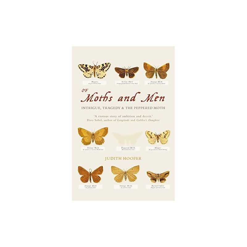 Of Moths and Men: Intrigue, Tragedy and the Peppe... by Hooper, Judith Paperback
