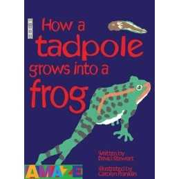 How a Tadpole Grows Into a Frog (Amaze) by David Stewart Paperback Book The