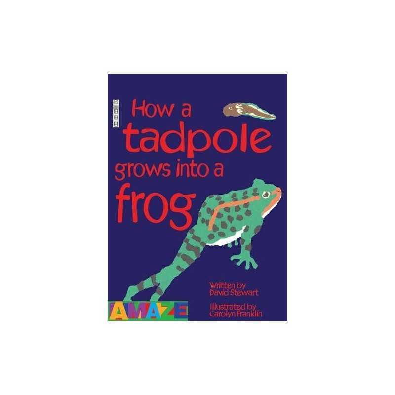 How a Tadpole Grows Into a Frog (Amaze) by David Stewart Paperback Book The