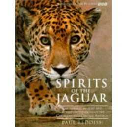 Spirits of the Jaguar: Natural History and Ancient ... by Reddish, Paul Hardback