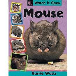 Watch It Grow: Mouse by Watts, Barrie Hardback Book