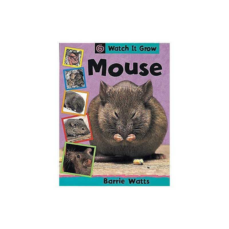 Watch It Grow: Mouse by Watts, Barrie Hardback Book