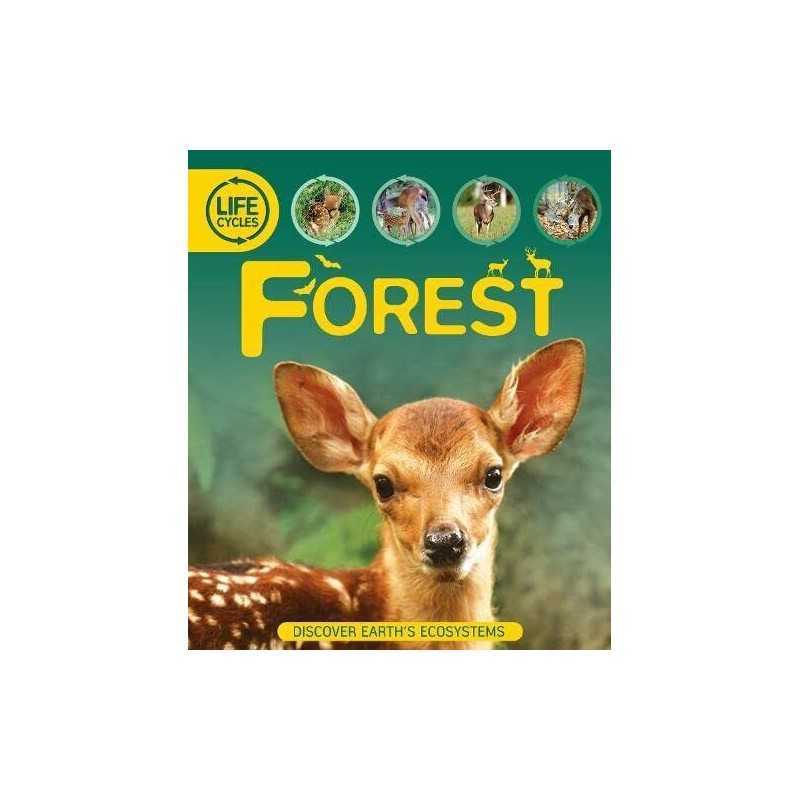 Life Cycles: Forest by Callery, Sean Book