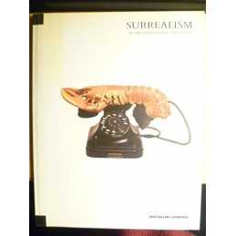 Surrealism in the Tate Gallery Collection by Bernstein, Joanne Paperback Book