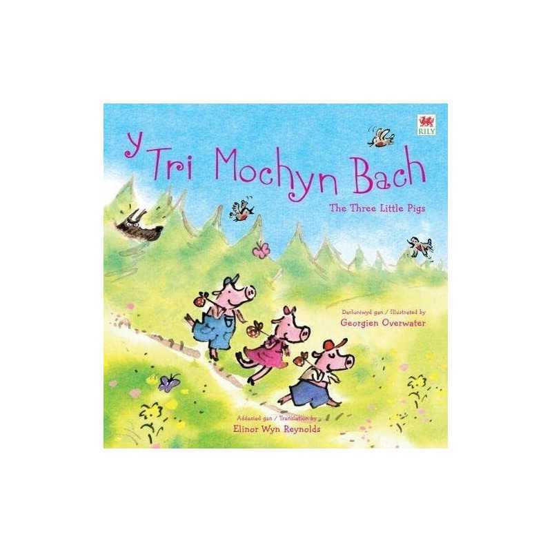 Tri Mochyn Bach, Y by Susanna Davidson Book