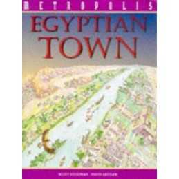 An Egyptian Town (Metropolis S.) by Steddman, Scott Hardback Book  Fast