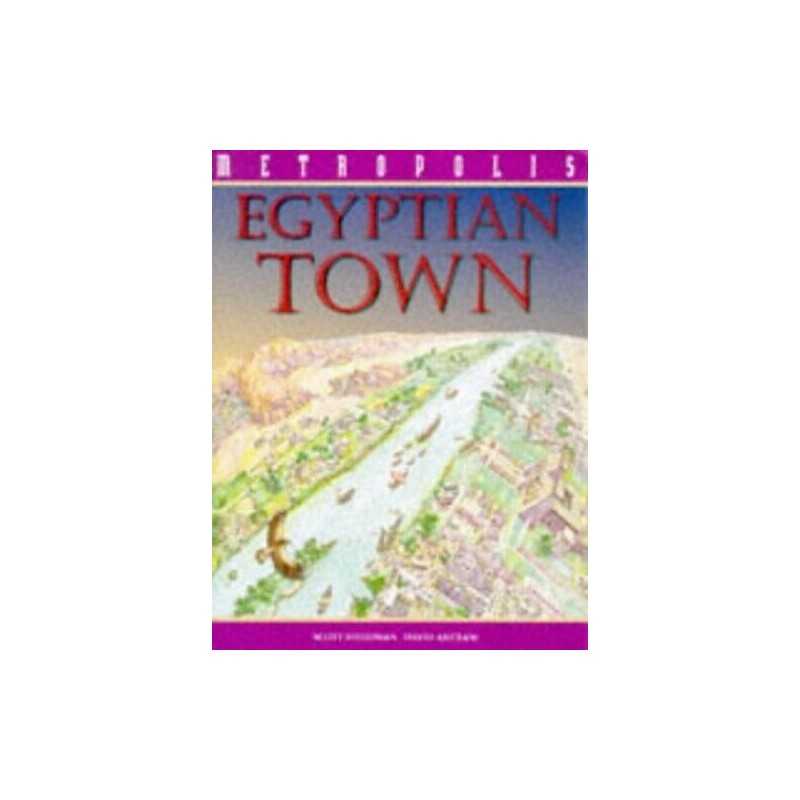 An Egyptian Town (Metropolis S.) by Steddman, Scott Hardback Book  Fast