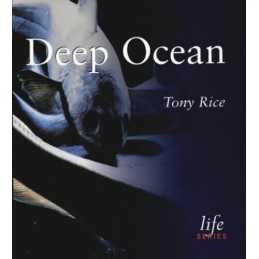Deep Ocean (Life S.) by Rice, Tony Paperback Book