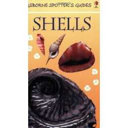 Shells (Usborne Spotters Guide) by Saunders, Graham D. Paperback Book