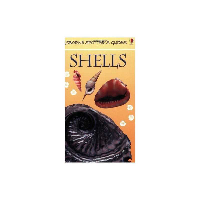 Shells (Usborne Spotters Guide) by Saunders, Graham D. Paperback Book