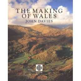 The Making of Wales by Davies, John Paperback Book