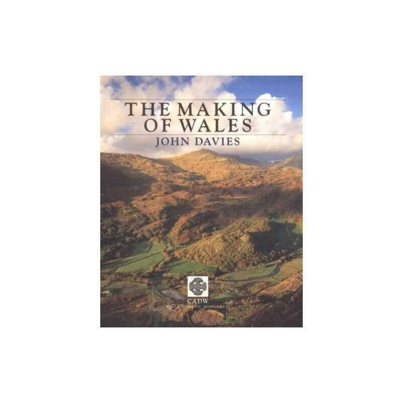 The Making of Wales by Davies, John Paperback Book