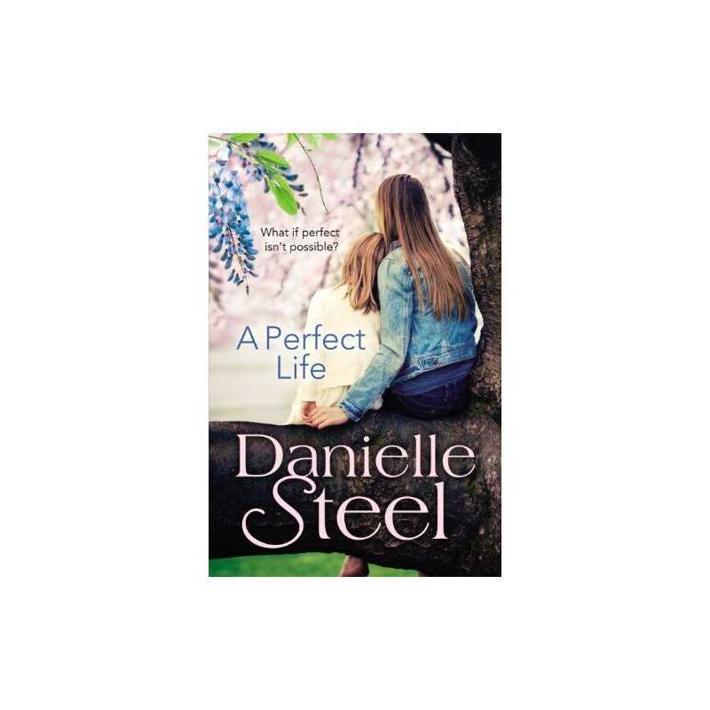 A Perfect Life by Steel, Danielle Book