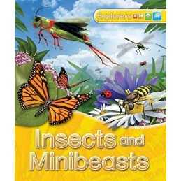 Explorers: Insects and Minibeasts by Johnson, Jinny Hardback Book  Fast