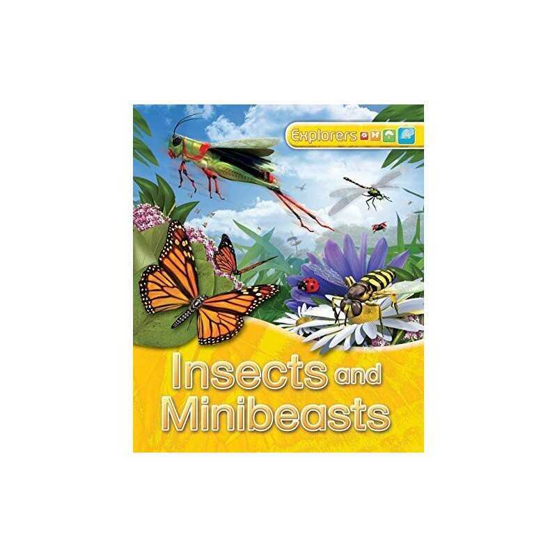 Explorers: Insects and Minibeasts by Johnson, Jinny Hardback Book  Fast