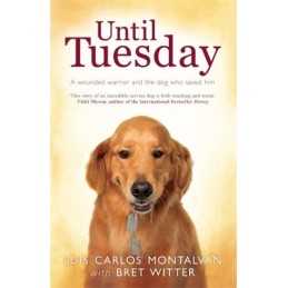 Until Tuesday by Witter, Bret Book