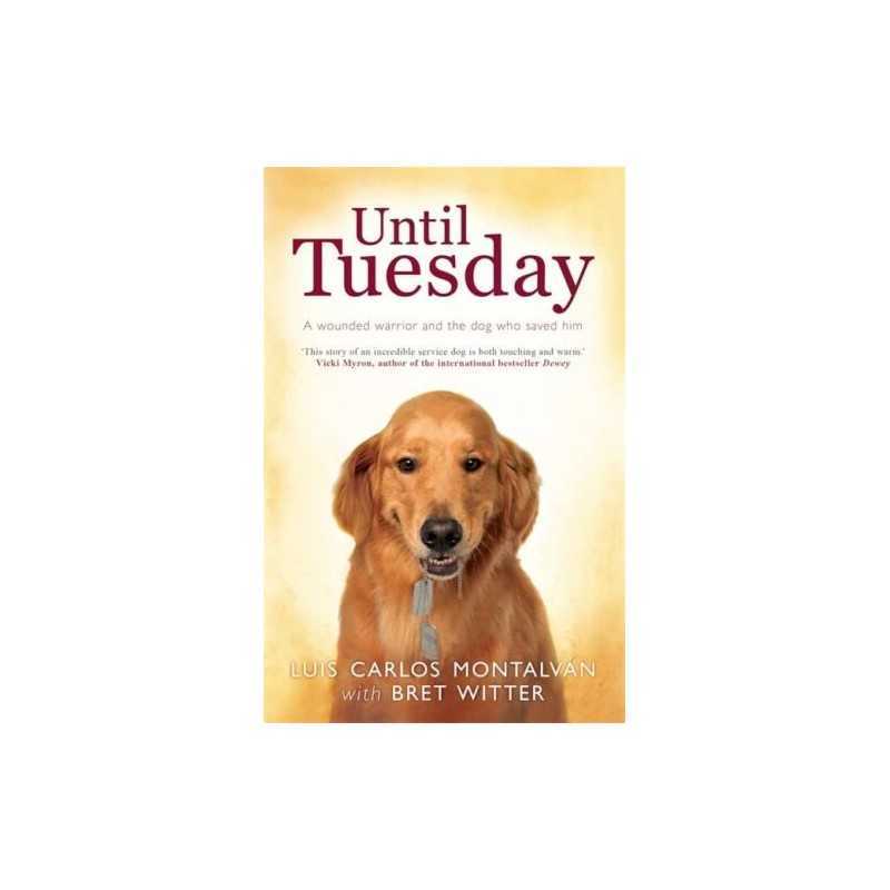 Until Tuesday by Witter, Bret Book