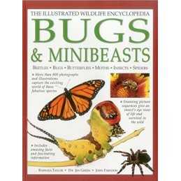 The Illustrated Wildlife Encyclopedia: Bugs & Minibeasts by John Farndon Book