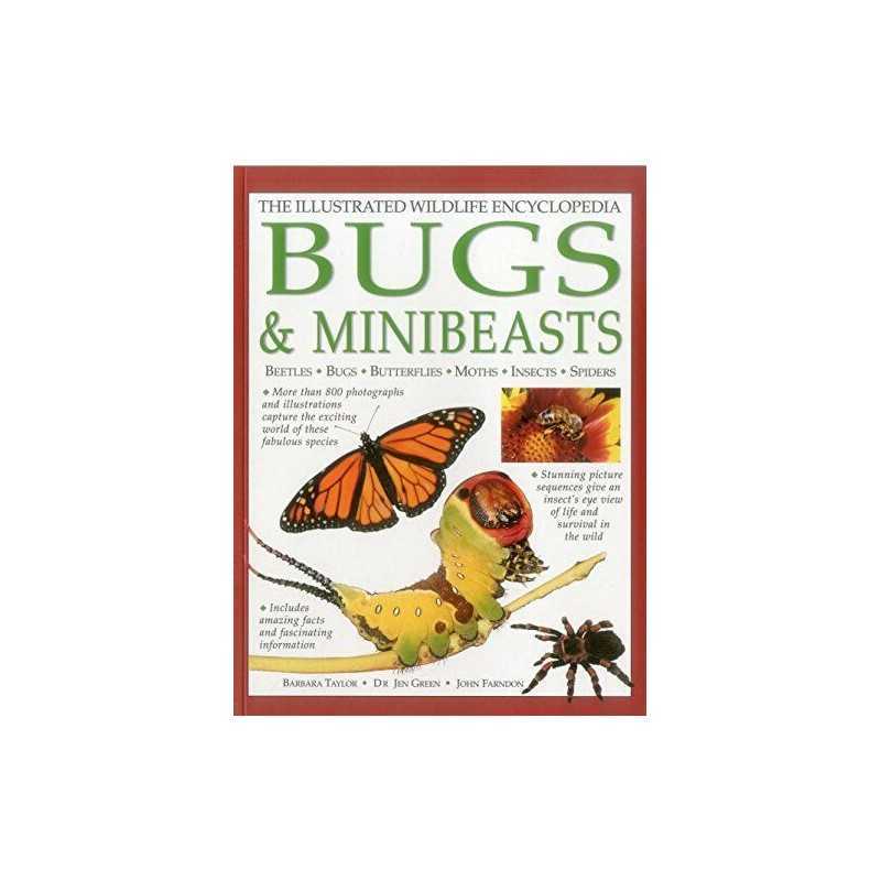 The Illustrated Wildlife Encyclopedia: Bugs & Minibeasts by John Farndon Book