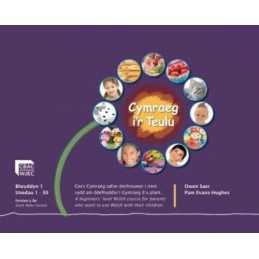 Cymraeg ir Teulu Blwyddyn 1 (Fersiwn y De) by Amrywiol Book