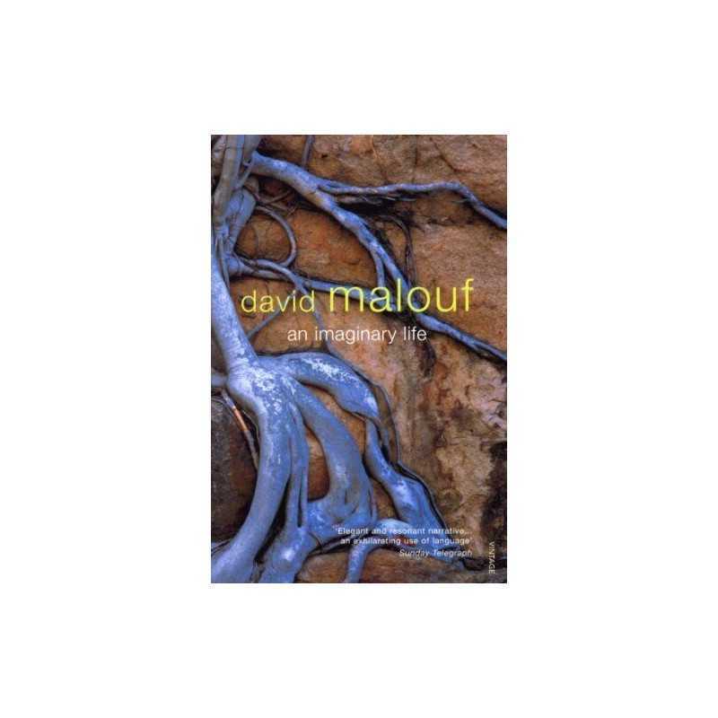 An Imaginary Life by Malouf, David Paperback Book
