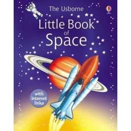 Little Book of Space (Usborne Little Encyclopedias) by Fiona Chandler Hardback