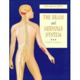 The Human Body: The Brain and Nervous System: 2, Steve