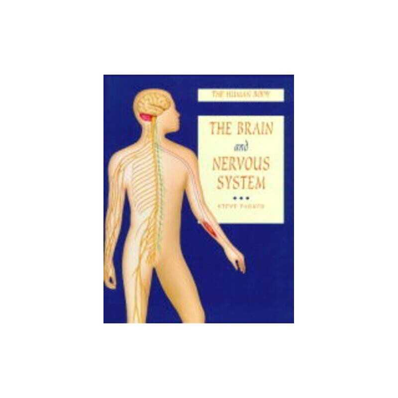 The Human Body: The Brain and Nervous System: 2, Steve