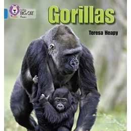 Gorillas: Band 04/Blue (Collins Big Cat Phonics) by Heapy, Teresa Book