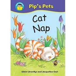 Cat Nap (Start Reading: Pips Pets) by Llewellyn, Claire Paperback Book The