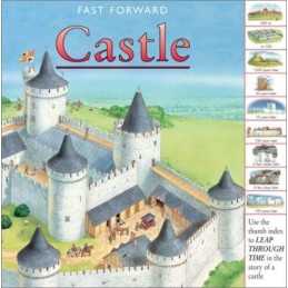 Castle (Fast Forward (Barrons)) by Dennis, Peter Book