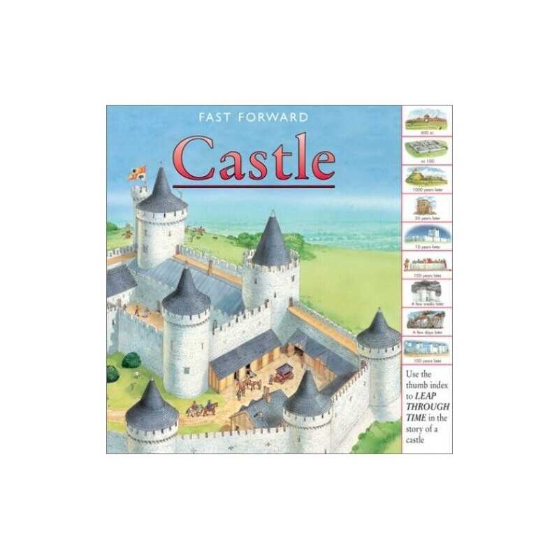 Castle (Fast Forward (Barrons)) by Dennis, Peter Book
