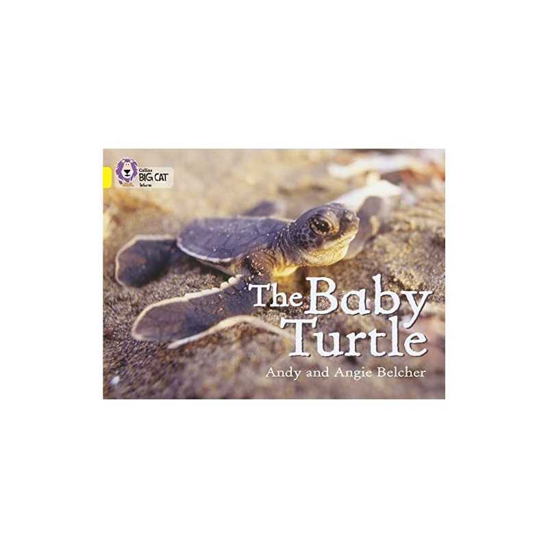 The Baby Turtle: Band 03/Yellow (Collins Big Cat) by Collins Big Cat Paperback