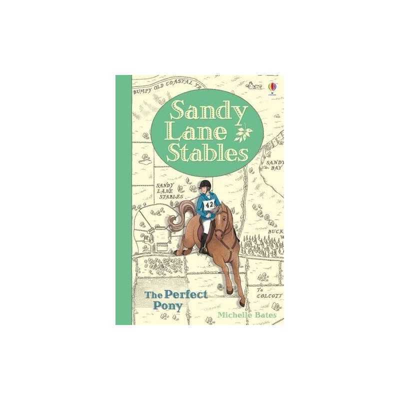 Sandy Lane Stables The Perfect Pony (Young Reading Series 4) by Bates, Michelle
