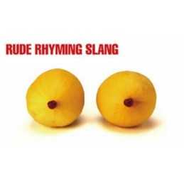 Rude Rhyming Slang by Nind, Tom Paperback Book