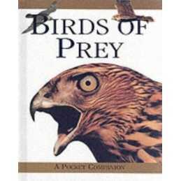 Birds of Prey (A pocket companion) by Kingsley, R. Hardback Book  Fast