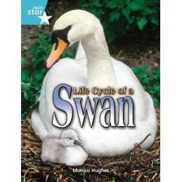 Rigby Star Independent Year 2 Turquoise Non Ficti... by Hughes, Monica Paperback