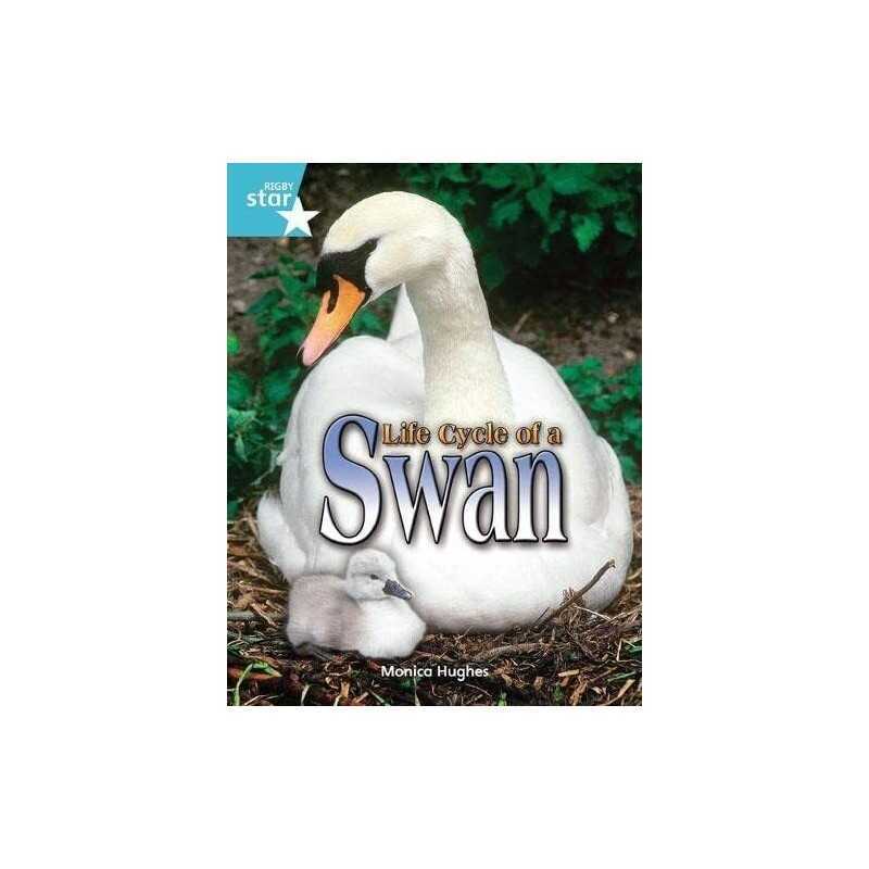 Rigby Star Independent Year 2 Turquoise Non Ficti... by Hughes, Monica Paperback