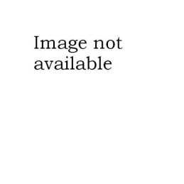 Writers Writing Paperback Book