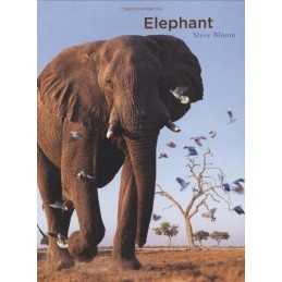 Elephant by Bloom, Steve Book