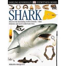 Shark (Eyewitness), MacQuitty, Miranda