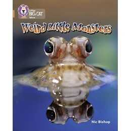 Weird Little Monsters: Band 12/Copper (Collins B... by Collins Big Cat Paperback