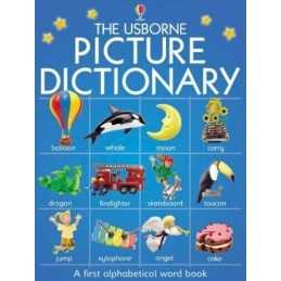 Picture Dictionary (Usborne Everyday Words) by Brooks, F. Hardback Book The