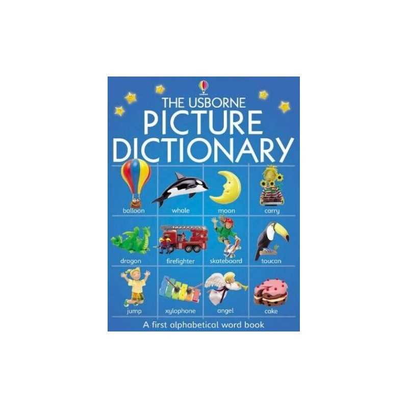 Picture Dictionary (Usborne Everyday Words) by Brooks, F. Hardback Book The